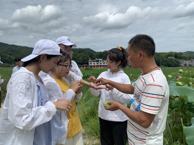 隊員參觀蓮子生產(chǎn)基地。福建船政交通職業(yè)學(xué)院供圖